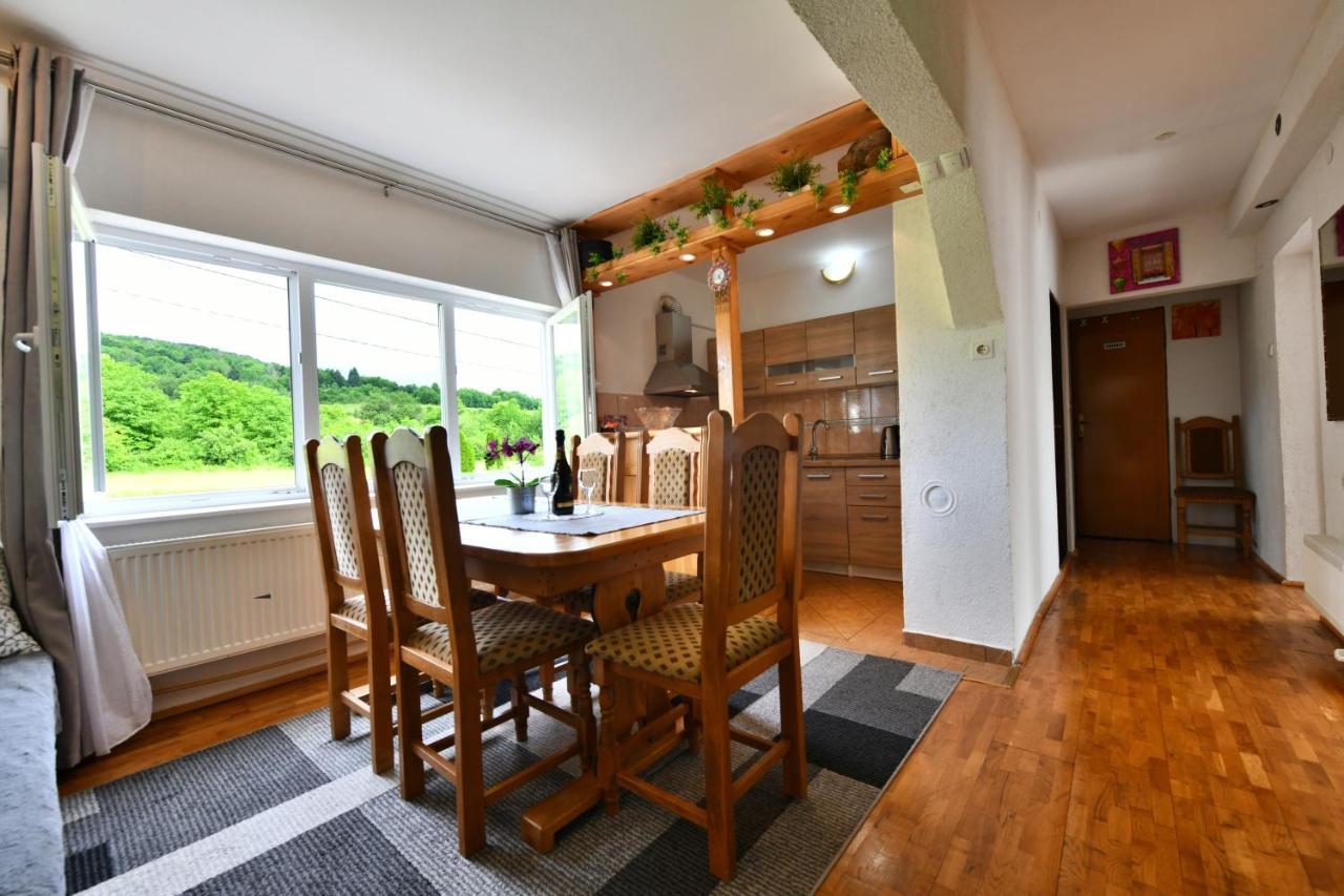 Apartment Marija Zupan Rakovica Extérieur photo