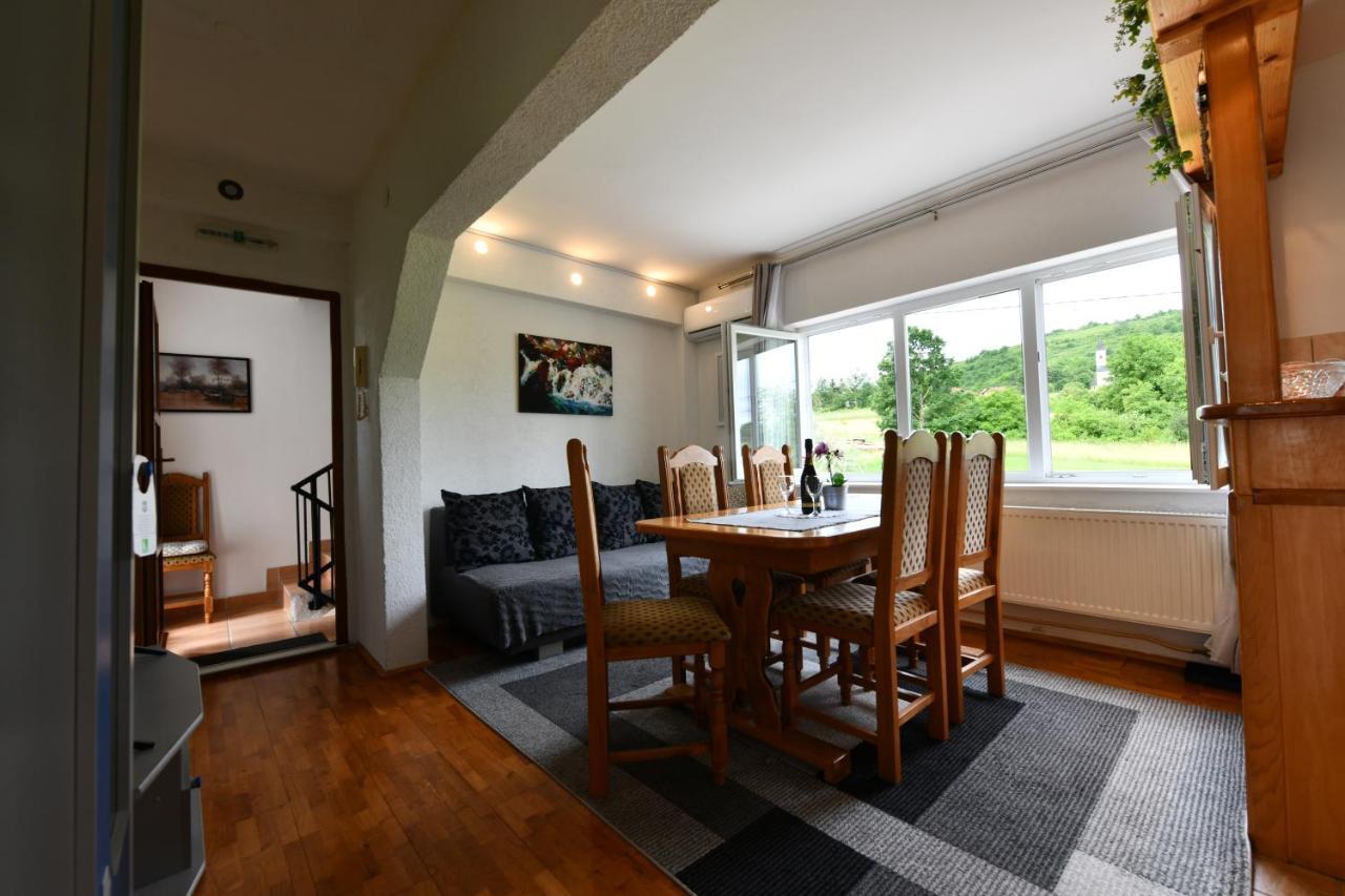 Apartment Marija Zupan Rakovica Extérieur photo