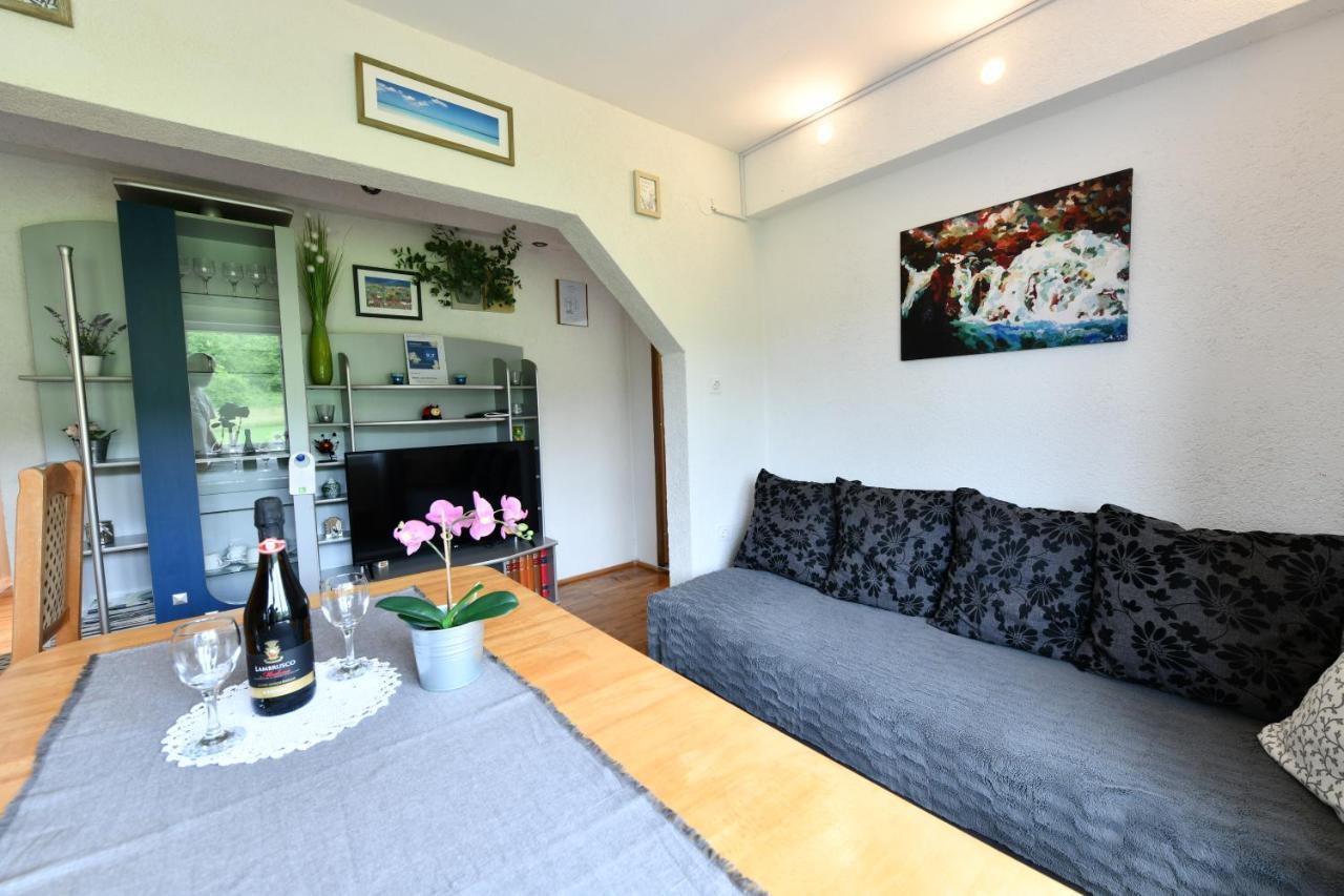 Apartment Marija Zupan Rakovica Extérieur photo